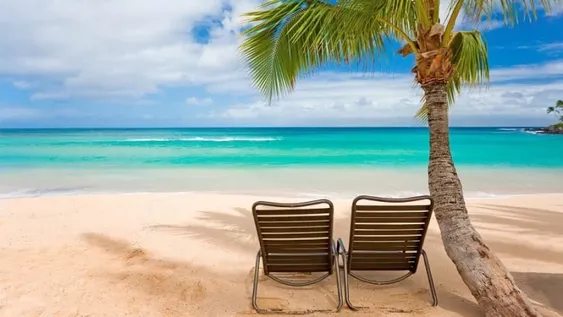 Hawaii ofrece estadía gratis a turistas a cambio de algo muy particular