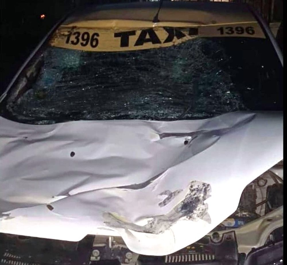 Un taxista chocó contra un caballo en la ruta a Calingasta