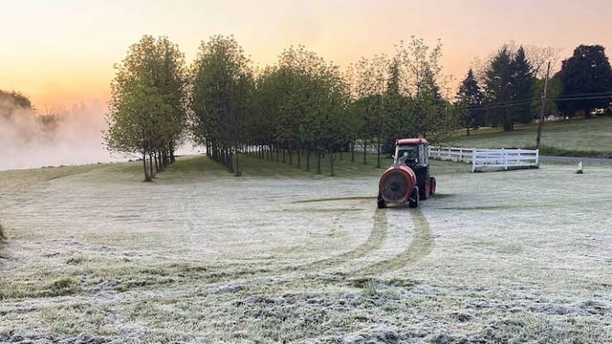 Heladas tardías: la amenaza silenciosa que ronda la primavera sanjuanina