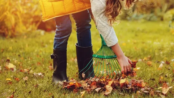 Tome Apunte: Guía práctica para organizar tus tareas de jardinería en otoño.