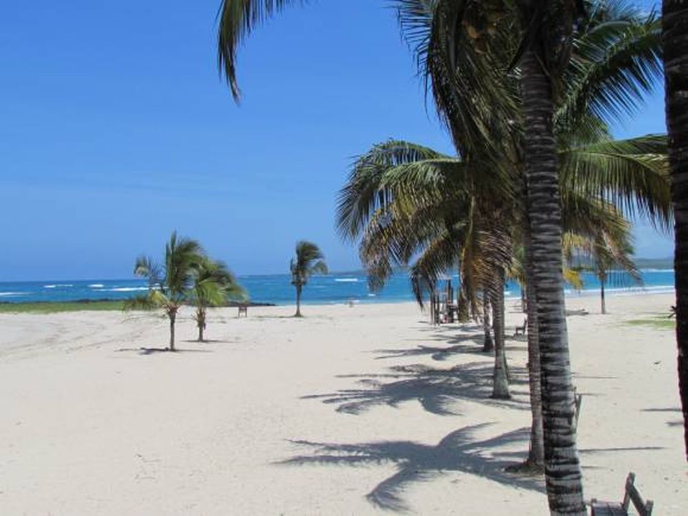 Galápagos, destino emergente