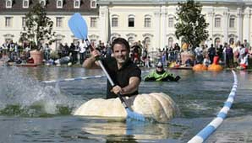 Carrera de calabazas