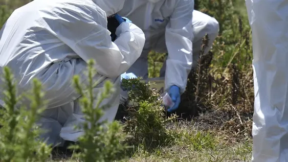 Encontraron un cadáver quemado, creen que sería uno de los 2 desaparecidos