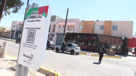 Diario de Cuyo | TAPA POLO 728x485.webp