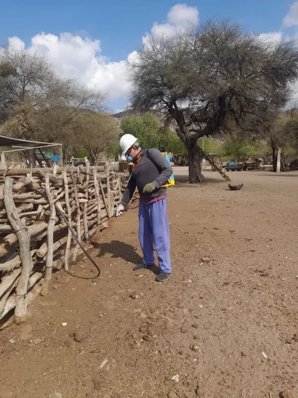 Los operativos de fumigación contra la vinchucha, en Valle Fértil, se centran especialmente en la zona más rural.