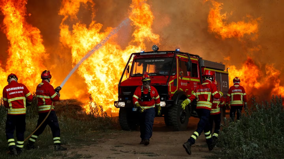 Los bomberos combaten las llamas del incendio forestal de Vouzela en Cercosa, una parroquia del municipio de Mortagua, Portugal.