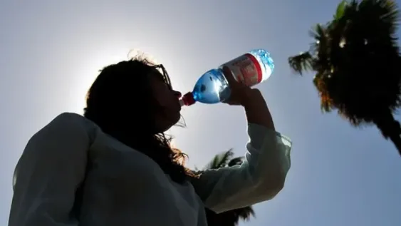 Calor extremo, viento Zonda y la llegada del alivio con el Sur: todo en 12 horas