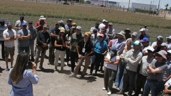 REFERENTE. Especialistas Pisté, firma que tiene todo el proceso desde invernaderos a procesado industrial.