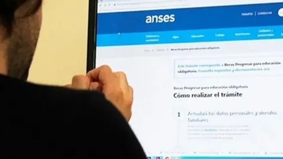 ANSES: cómo conocer los aportes registrados de cada trabajador