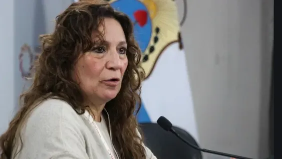Dos camioneros que ingresaron a San Juan, con coronavirus: tres casos detectados en 48 horas