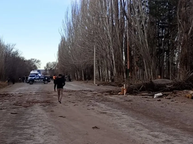 Un árbol cayó sobre una camioneta y provocó la muerte de dos personas