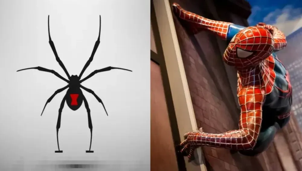Un niño se dejó picar por una araña porque “quería ser Spider-man” y quedó en terapia intensiva