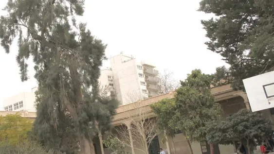 Docentes y padres, preocupados por un árbol del patio a punto de caerse