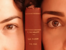 bebidas espirituosas con fruto de chanar, la apuesta de dos jovenes que comparte en cada botella una experiencia sin precedentes bebidas espirituosas con fruto de chanar, la apuesta de dos jovenes que comparte en cada botella una experiencia sin precedentes