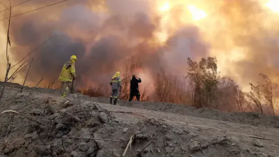 Parque Sarmiento, sin visitas guiadas a causa del incendio