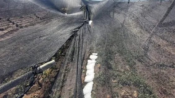 Daños en cultivos de 4 distritos por la cuarta granizada de la temporada
