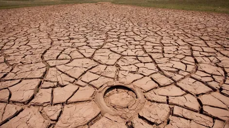 Luego de la sequía, Argentina será uno de los países más afectados por las fuertes lluvias