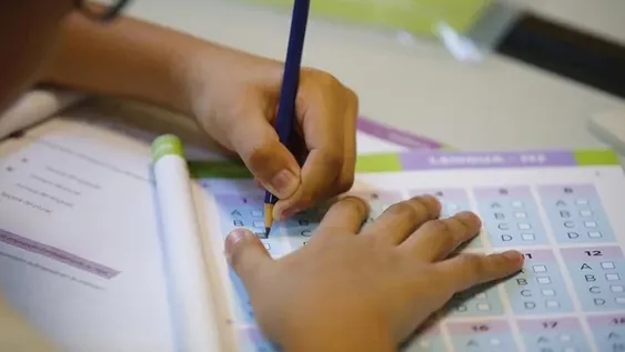 Ayuda Escolar Anual de Anses 2021: cuándo, quiénes y cómo la pueden cobrar