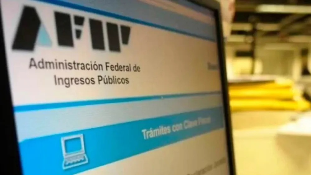 La AFIP ya está habilitada para cobrar el impuesto a la riqueza