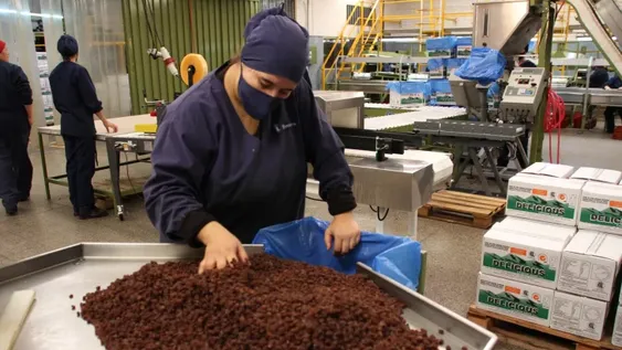 Al excluir la pasa de la suba de reintegros temen que las mosteras capten estas uvas