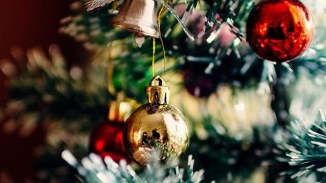 Una pareja halló una tremenda y desagradable sorpresa en el Árbol de Navidad