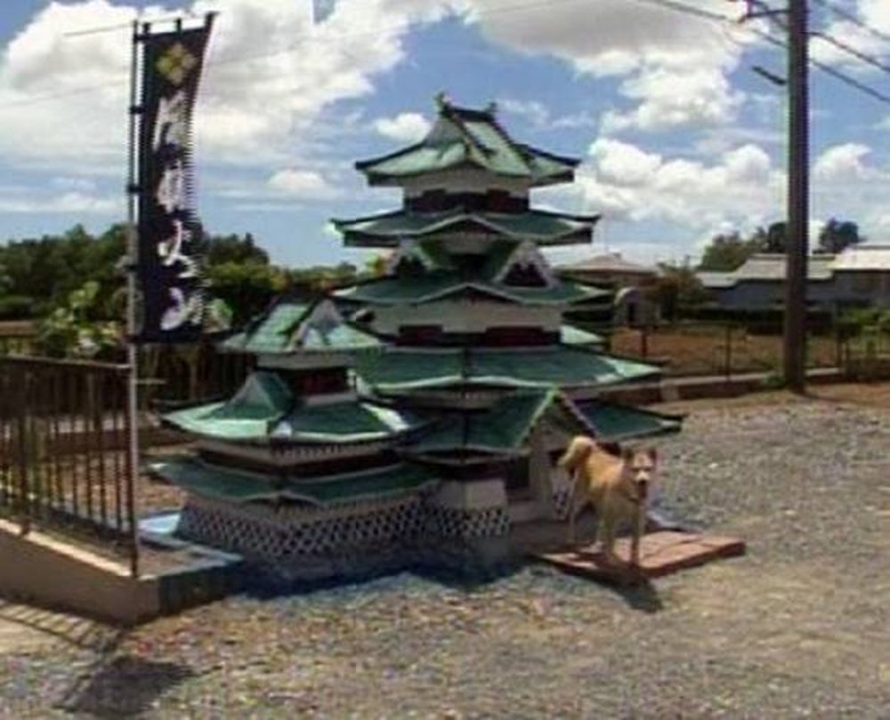Perro ¡vive en un castillo!