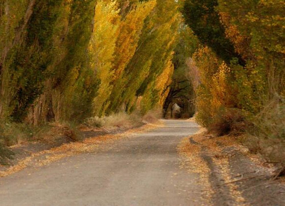 Explotar el turismo en el otoño sanjuanino