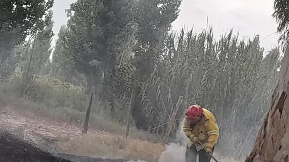 Un municipal por cada quema de pastizales, la polémica ordenanza rawsina