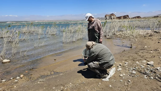 La UFI Norte cerró la causa por los peces muertos en Cuesta del Viento: no se constató delito