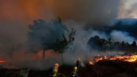 Identificaron a los autores del incendio en El Bolsón: hay más de 100 casas destruidas y declararon la emergencia
