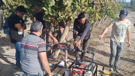 Diario de Cuyo | dcc250423 007f02_crop1682375409342 728x547.webp