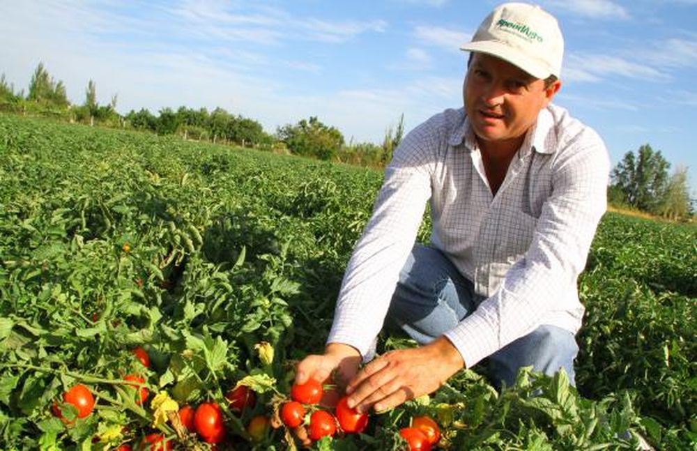 La expo de tomate, con un  gran despliegue tecnológico