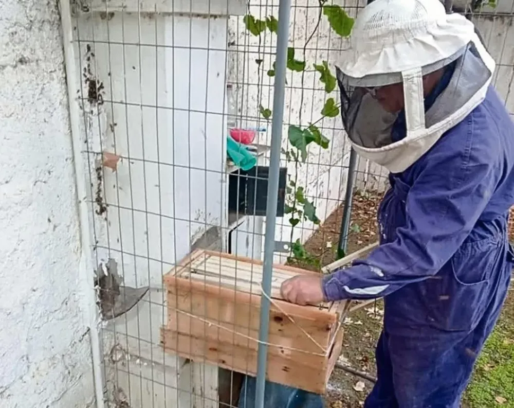 Primer municipio con apicultor