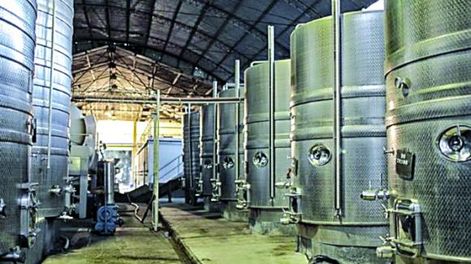 Nueva bodega familiar nace en el departamento San Martín