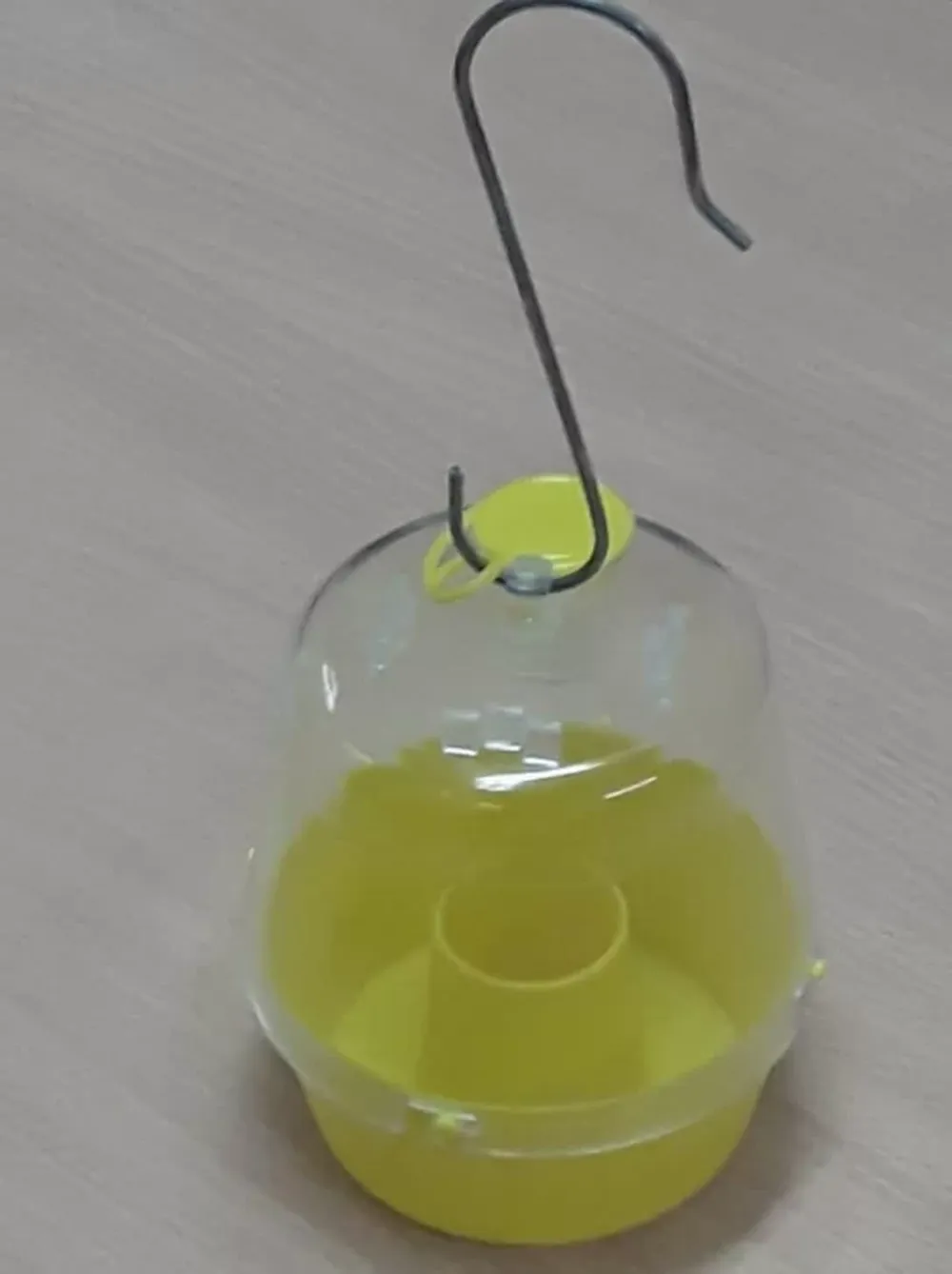 Trampeo para la mosca