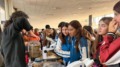 La feria educativa de la UNSJ llega a la plaza de Pocito el próximo viernes 19 de junio.