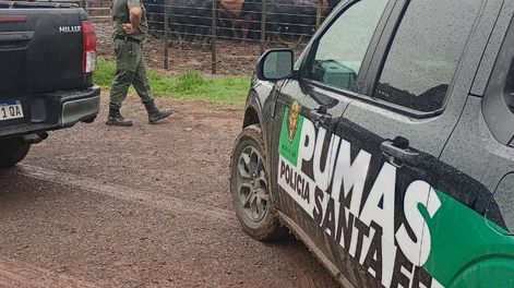 El inesperado giro en el caso del influencer rural que denunció el robo de 190 animales con un video viral