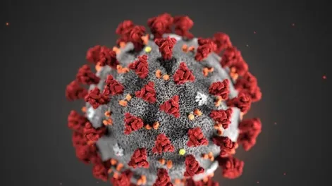 Las muertes por coronavirus en el mundo disminuyeron casi 90% desde enero