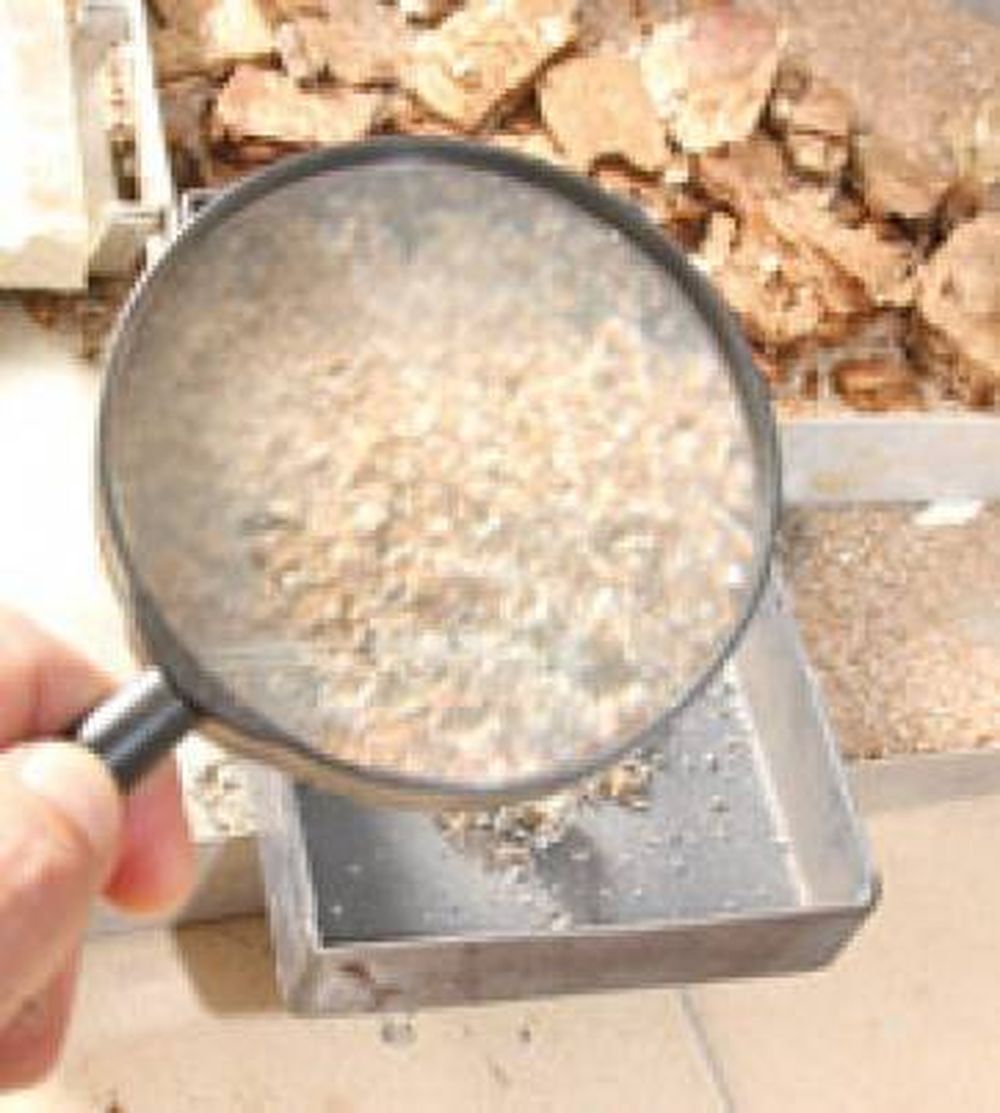 Vermiculita, un mineral que crece bajo la lupa