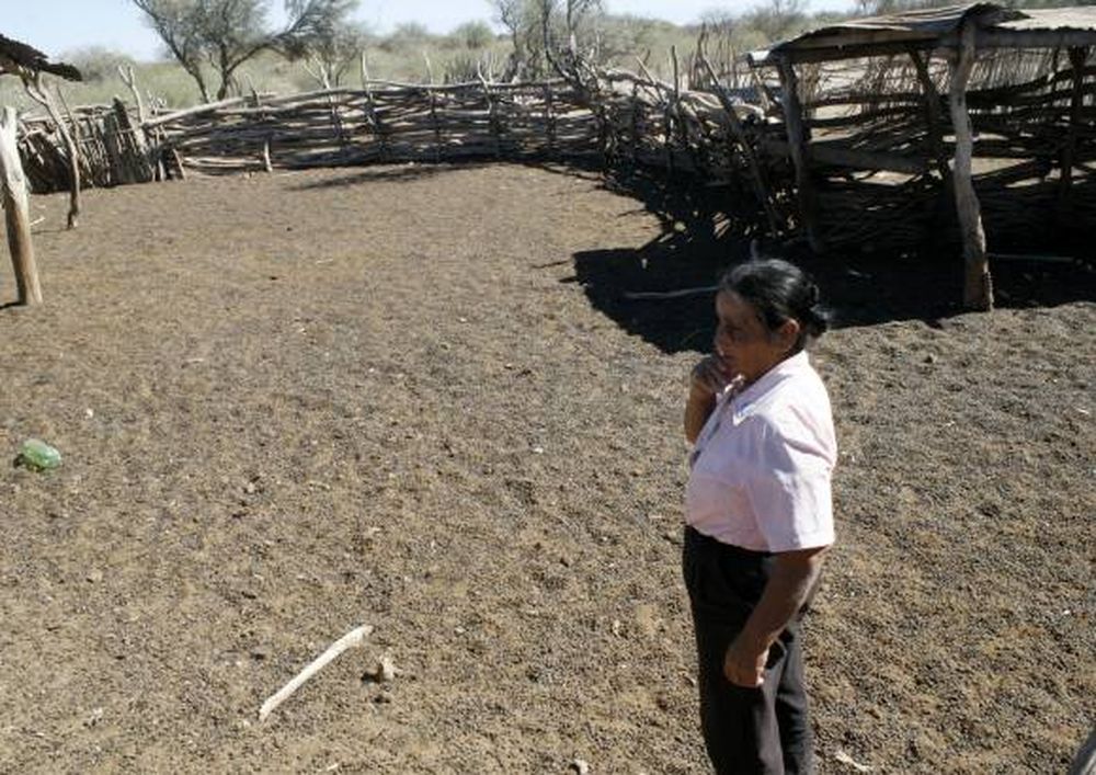 Roban unas 100 cabras en el  puesto donde hubo un crimen