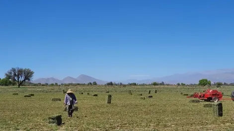Trabajamos para recuperar el agro y la industria sanjuanina