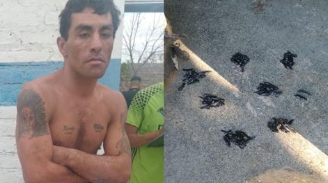 Detuvieron a un sujeto con 72 envoltorios de cocaína