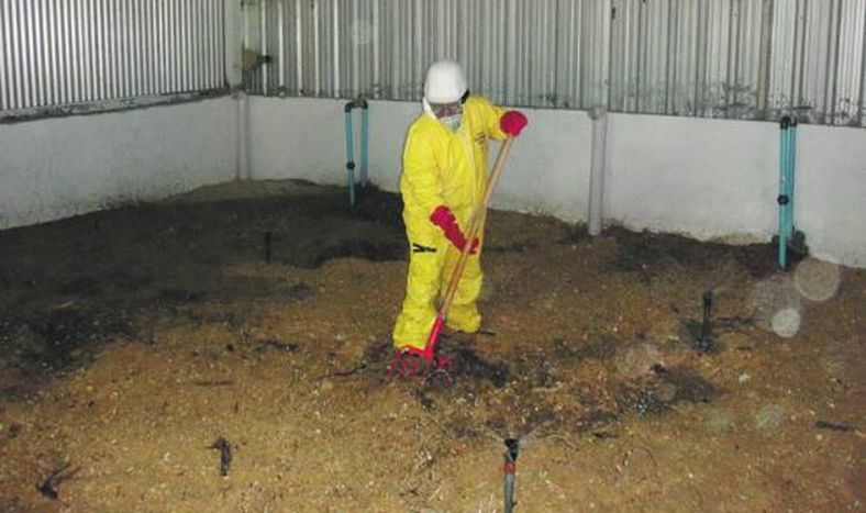 Cómo depuran las aguas servidas sólo con lombrices