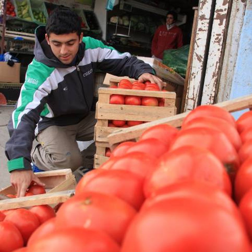 Tomate: más tarde, pero subió