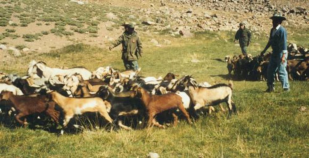 Veranadas: reunión clave para el acuerdo