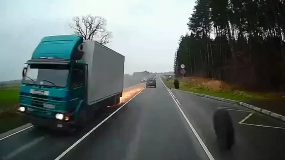 [VIDEO] Un camión perdió dos ruedas y provocó un accidente en plena ruta