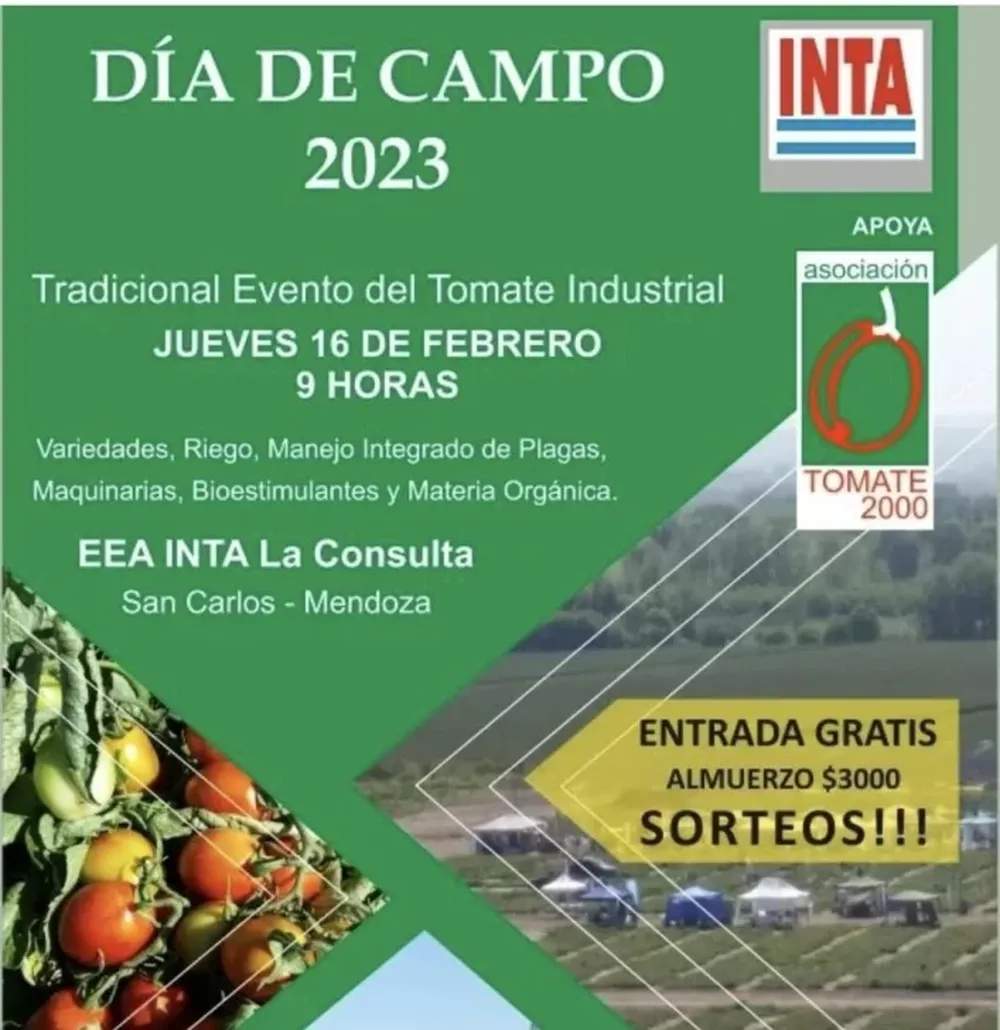 Día de Campo de Tomate 2000, el 16/2
