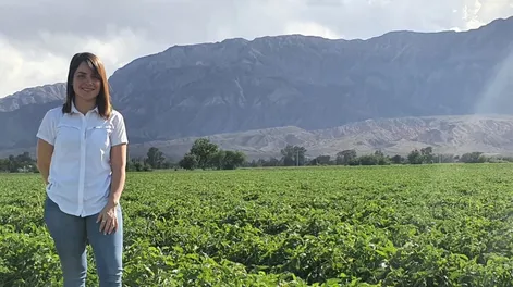 Plan de la fertilización a campo
