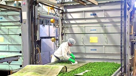 La única planta de deshidratados de sopas líder está en Mendoza