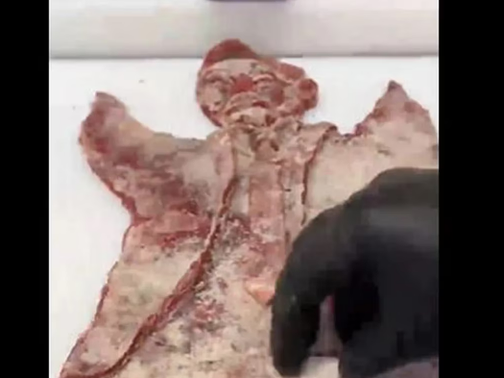 Video: replicaron la estatua de Gallardo en ¡una milanesa de bola de lomo!